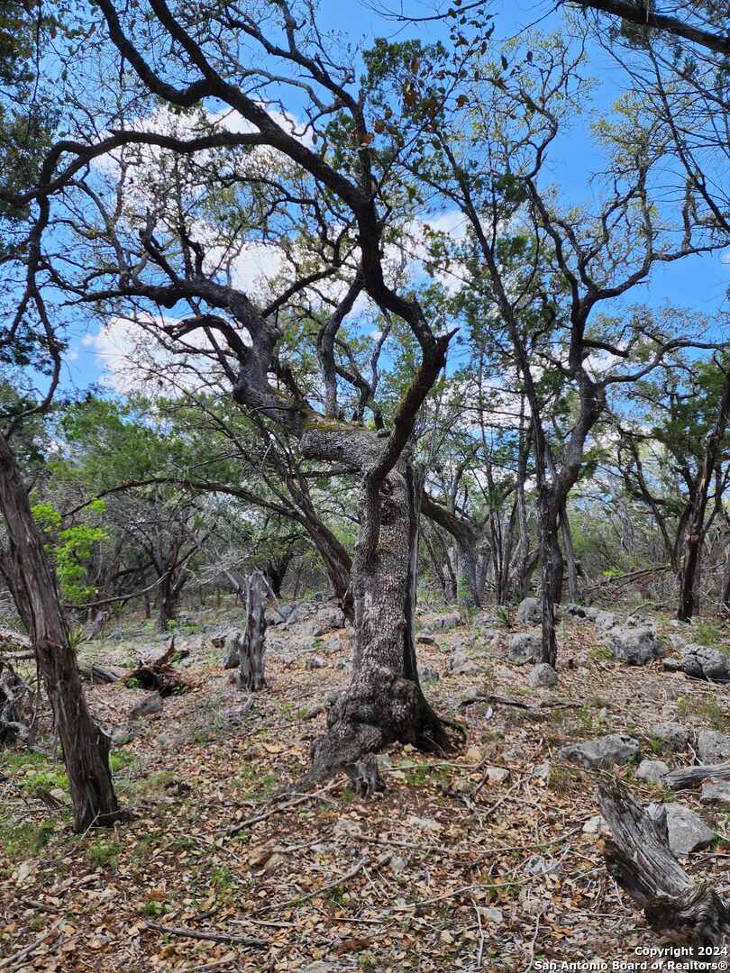 Lot 18 Forest Lake Drive Spring Branch TX 78070