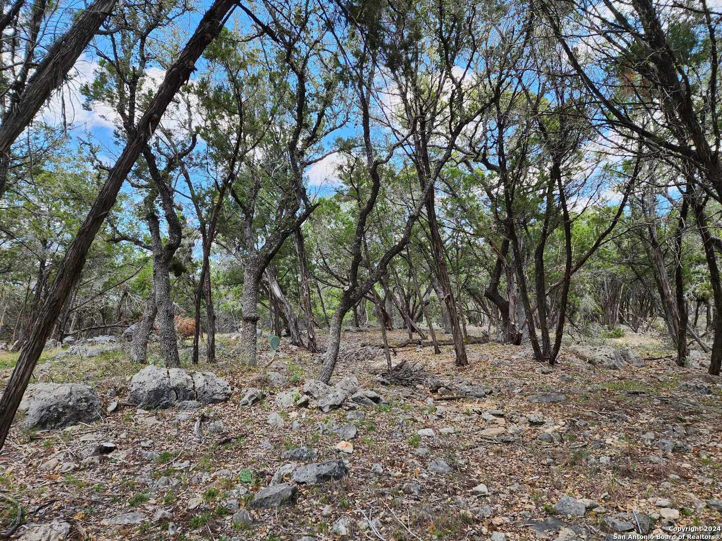 Lot 18 Forest Lake Drive Spring Branch TX 78070