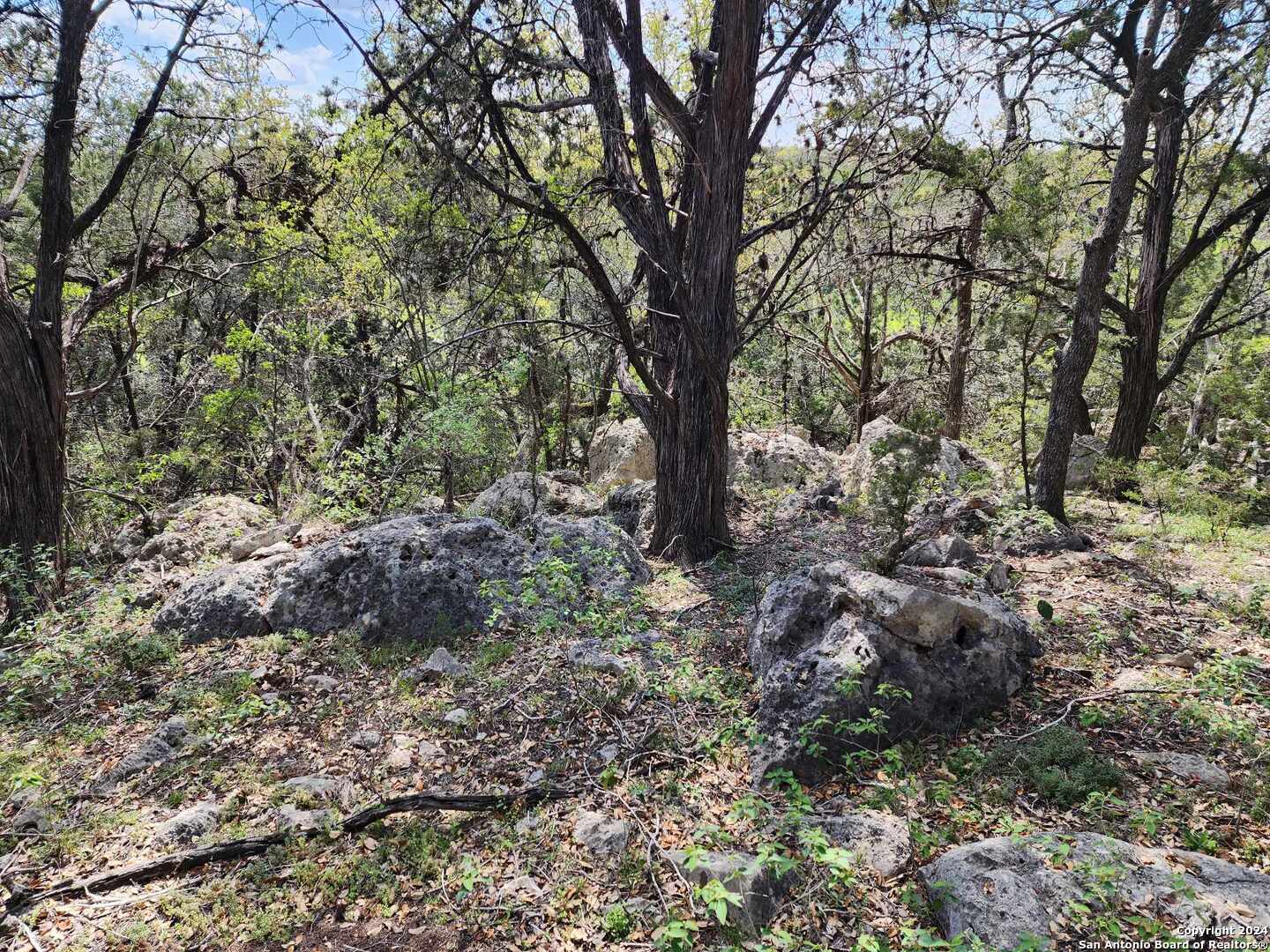 Lot 18 Forest Lake Drive Spring Branch TX 78070