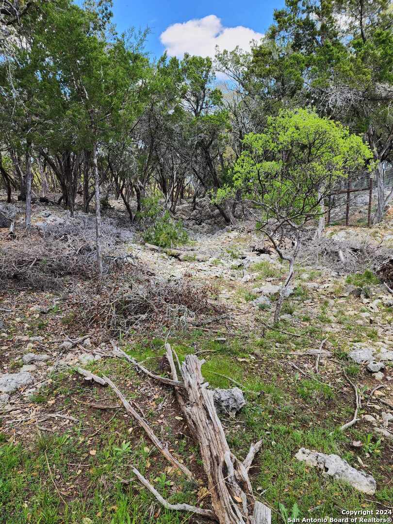 Lot 18 Forest Lake Drive Spring Branch TX 78070