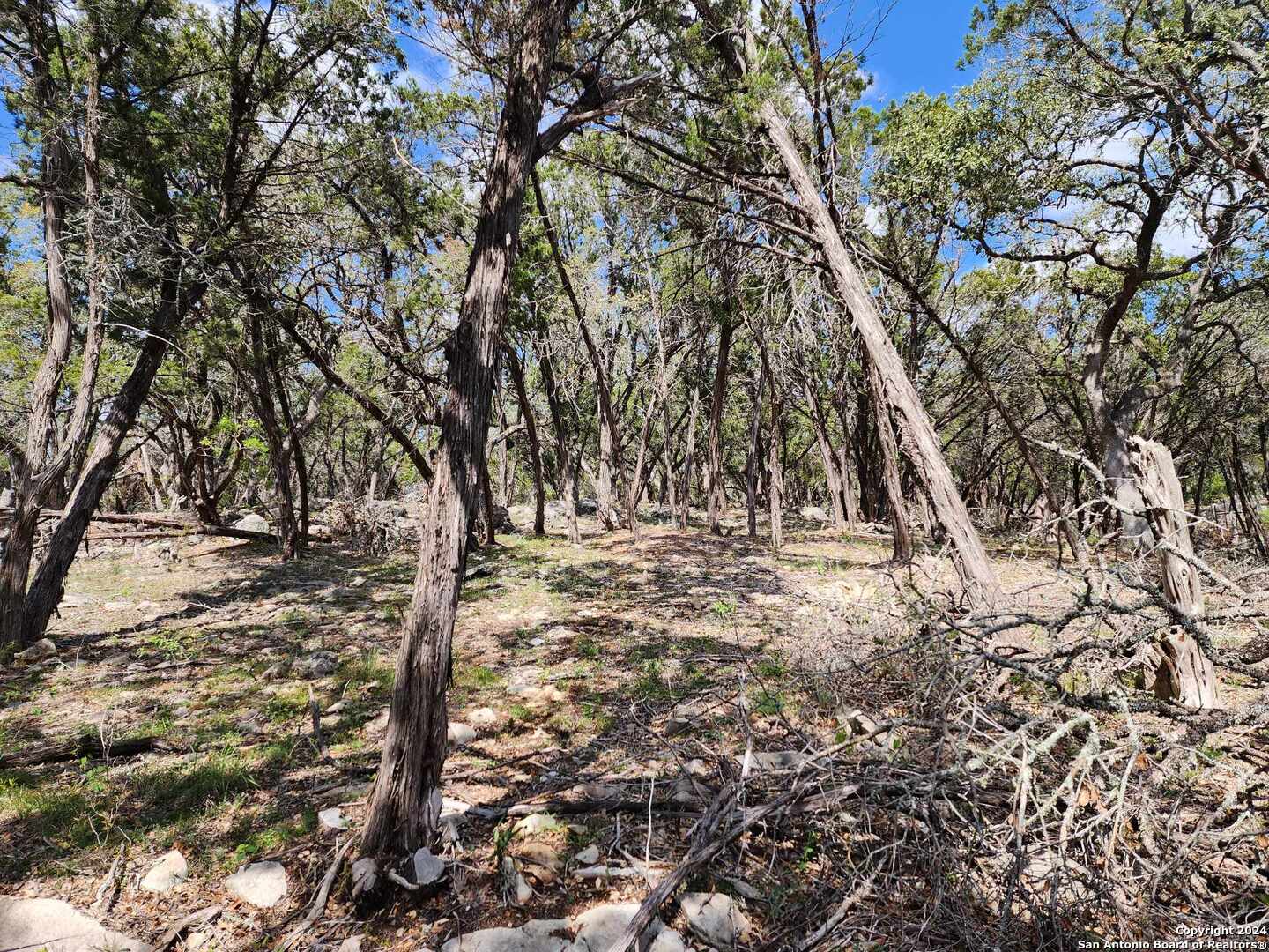 Lot 18 Forest Lake Drive Spring Branch TX 78070