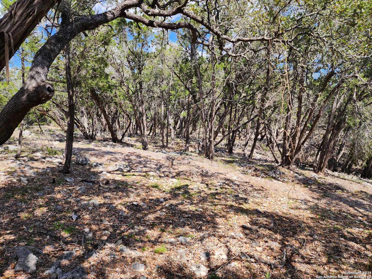 Lot 18 Forest Lake Drive Spring Branch TX 78070