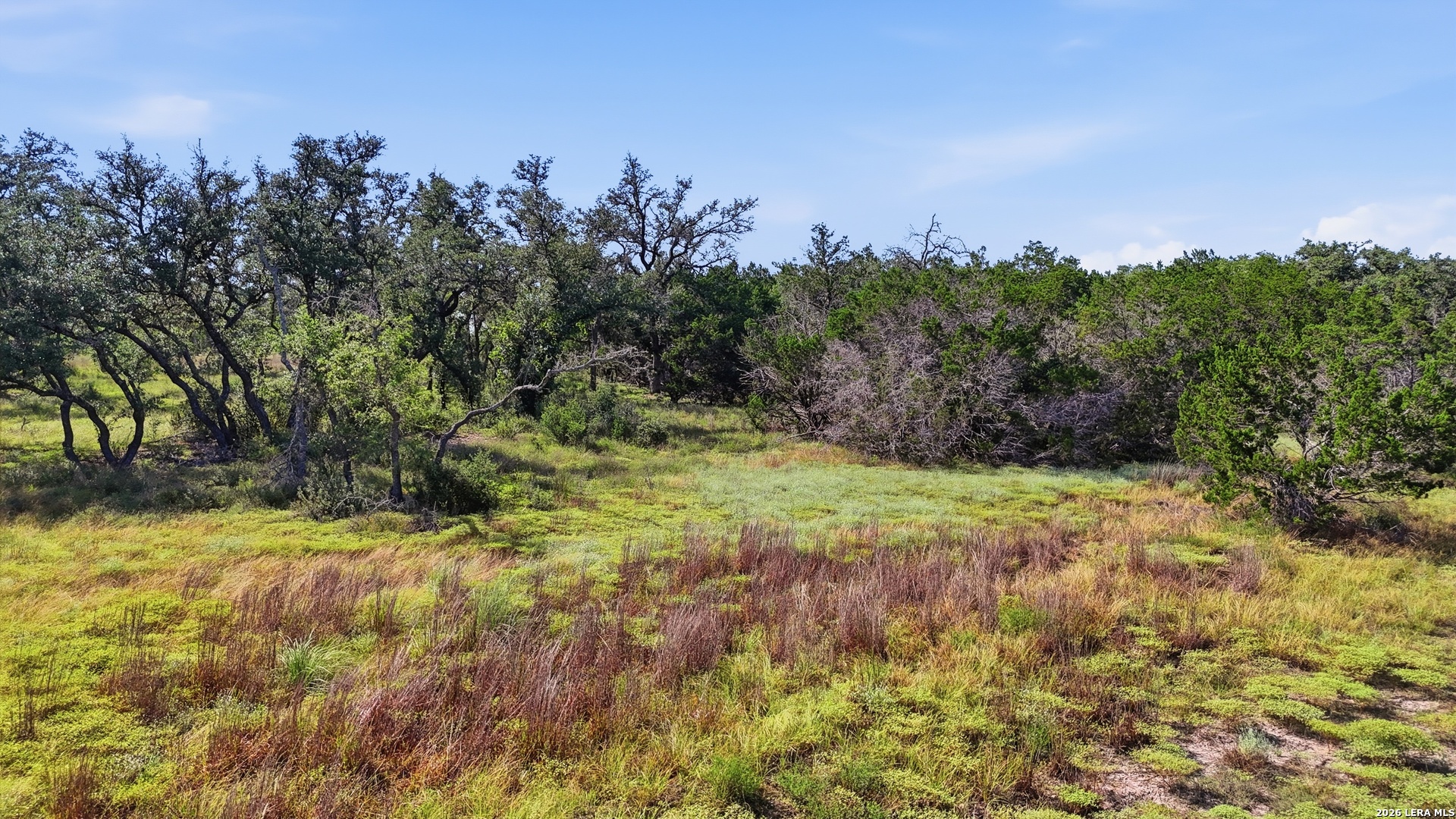 783 Tiswin Trail Blanco TX 78606