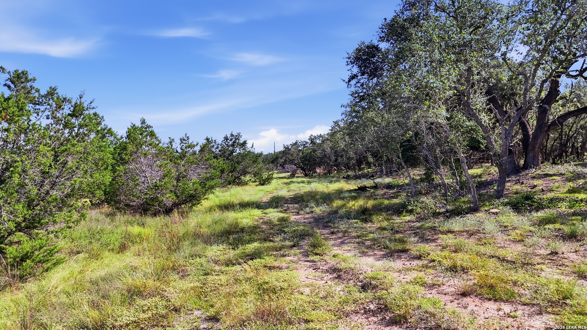 783 Tiswin Trail Blanco TX 78606