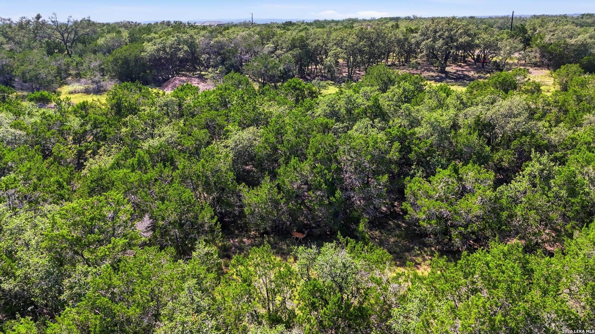 783 Tiswin Trail Blanco TX 78606