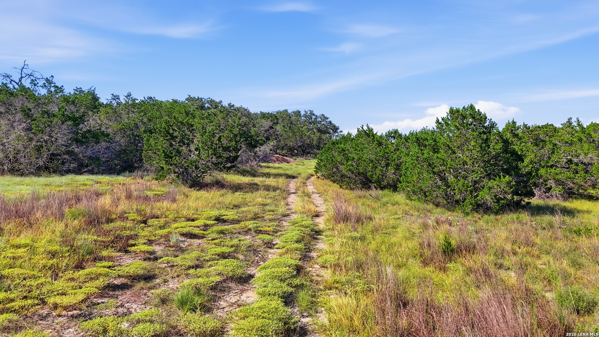 783 Tiswin Trail Blanco TX 78606