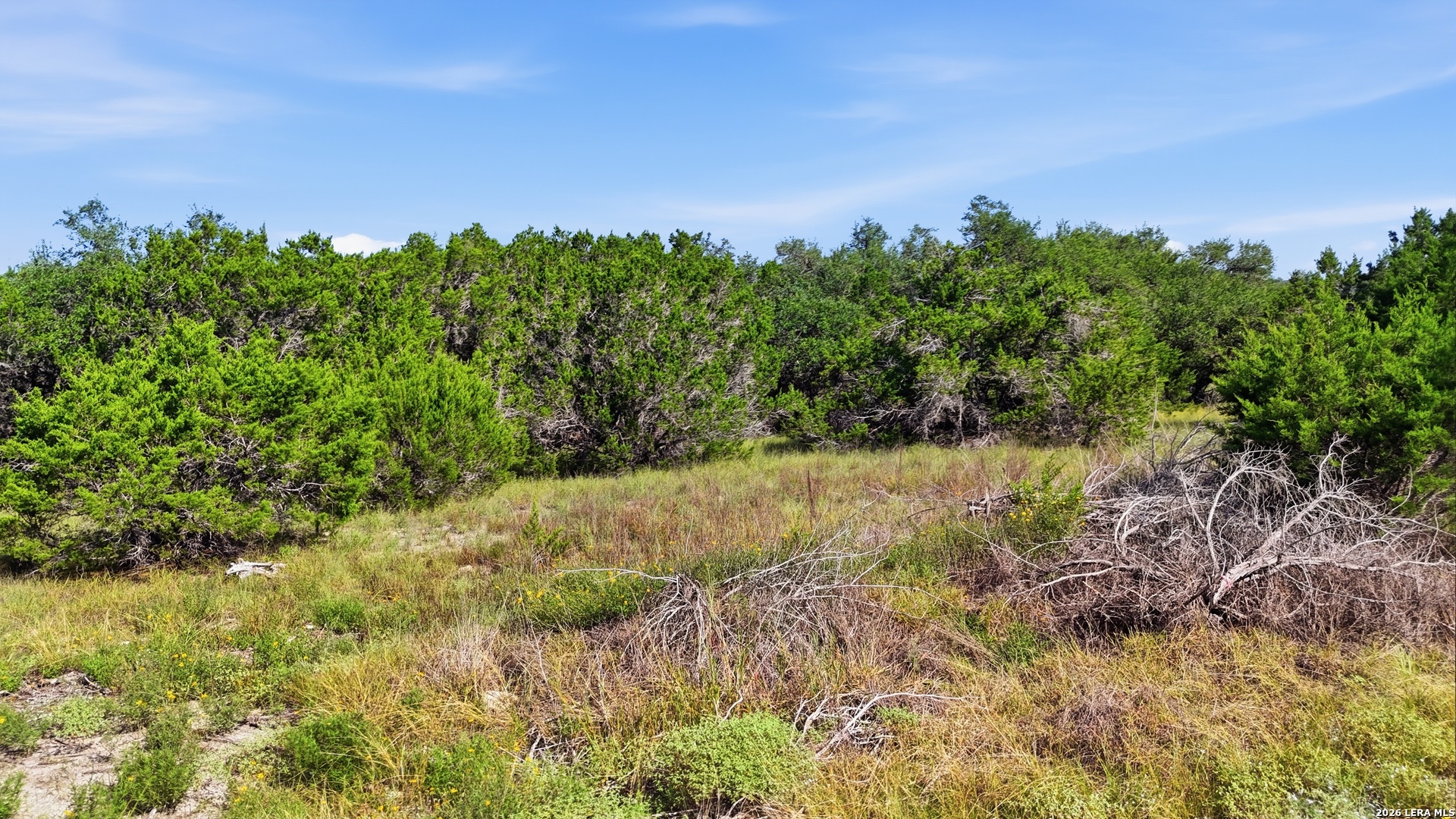 783 Tiswin Trail Blanco TX 78606