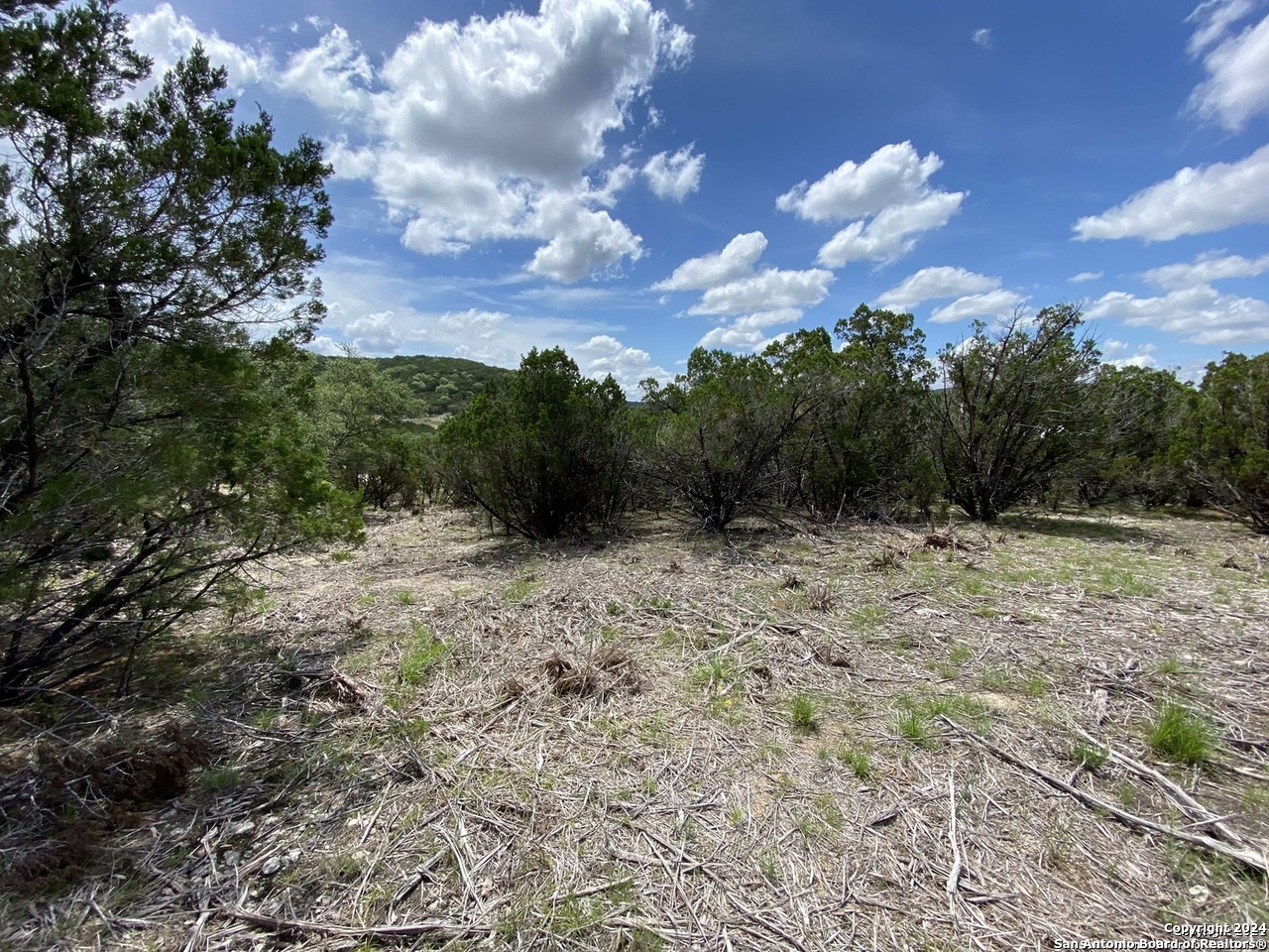 391 Pr 1748 Lot 391 Mico TX 78056