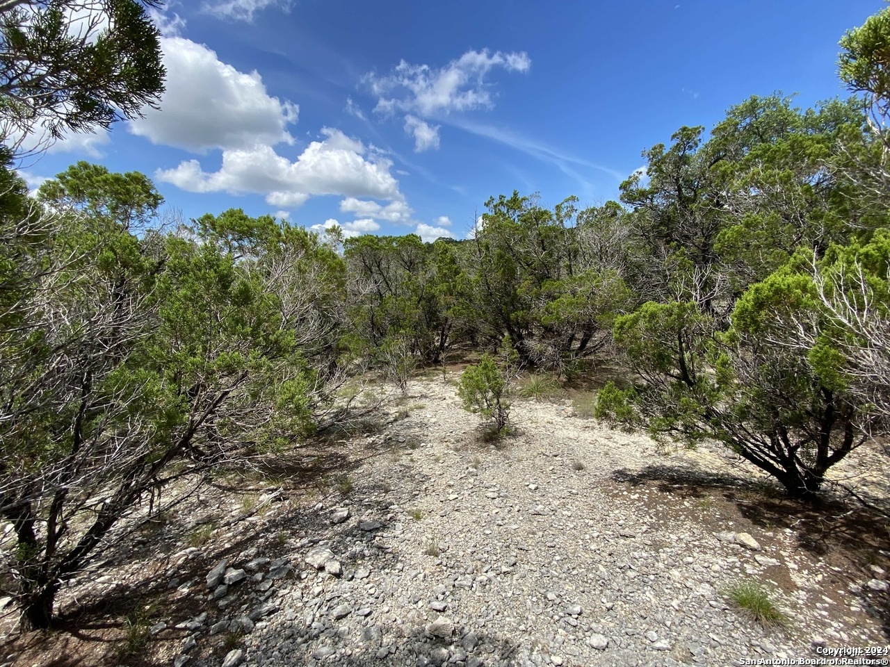 391 Pr 1748 Lot 391 Mico TX 78056