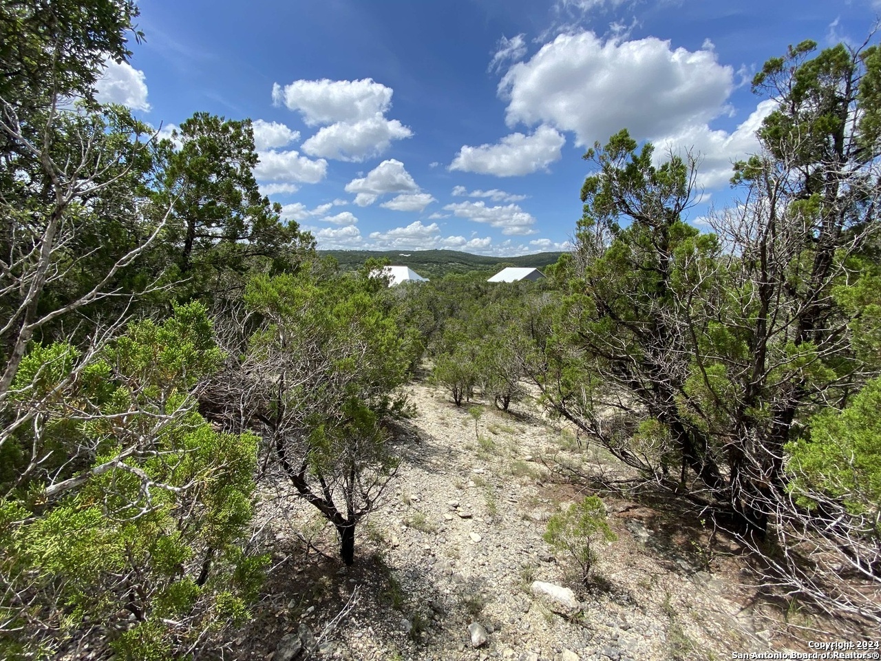 391 Pr 1748 Lot 391 Mico TX 78056