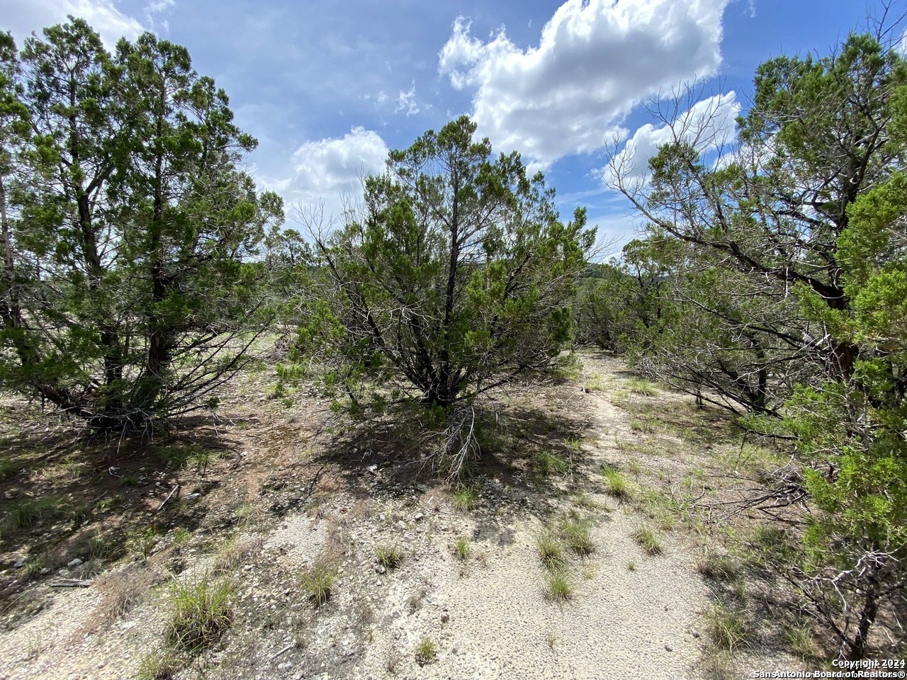 391 Pr 1748 Lot 391 Mico TX 78056