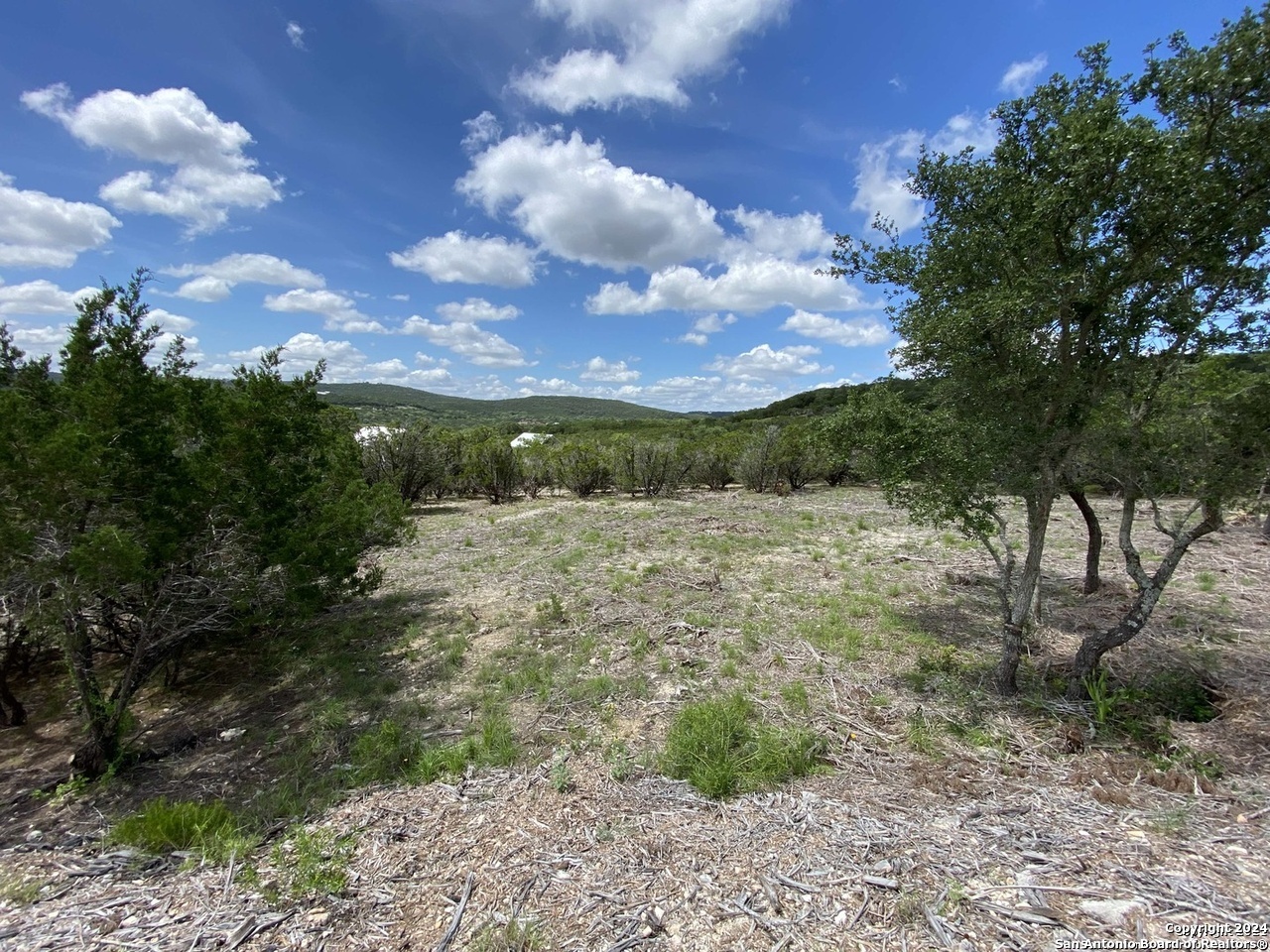 391 Pr 1748 Lot 391 Mico TX 78056