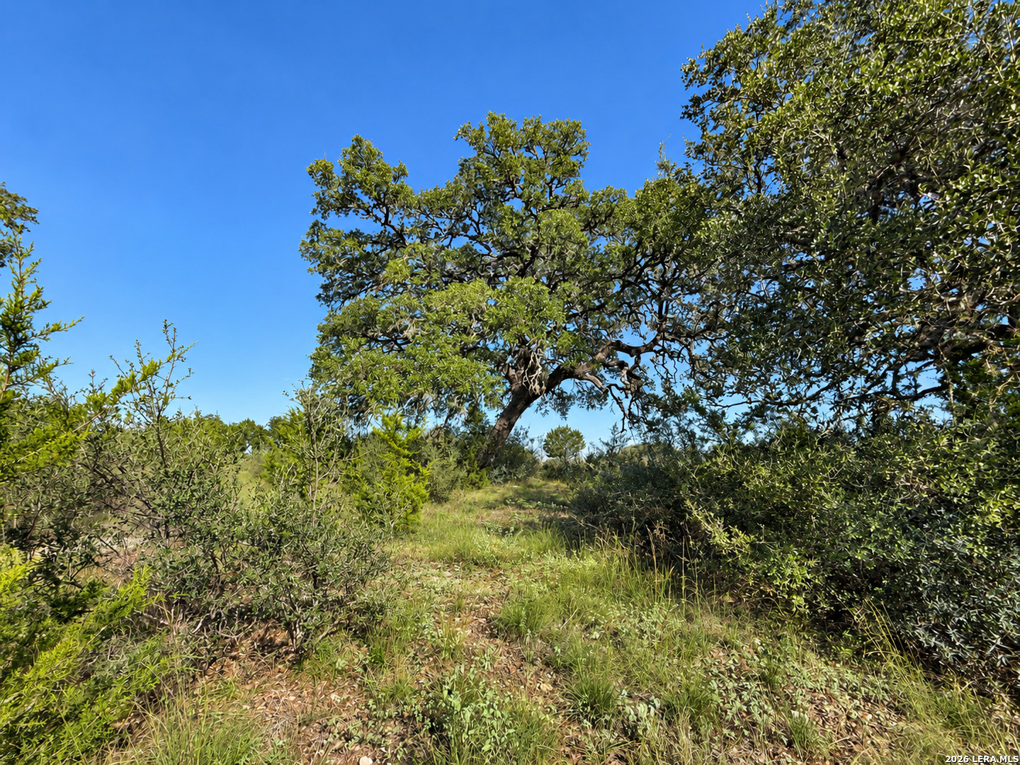 Lot 32 Lariat Trace Bandera TX 78003
