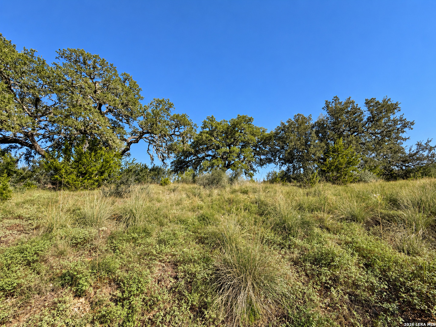 Lot 32 Lariat Trace Bandera TX 78003