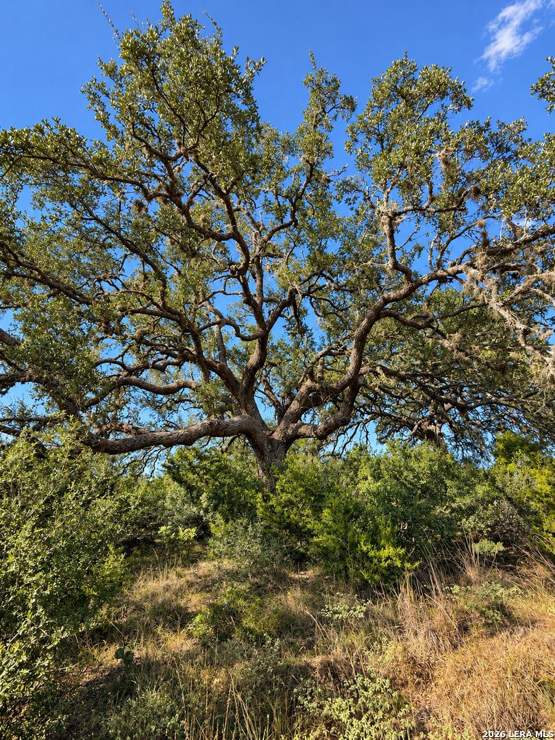 Lot 32 Lariat Trace Bandera TX 78003