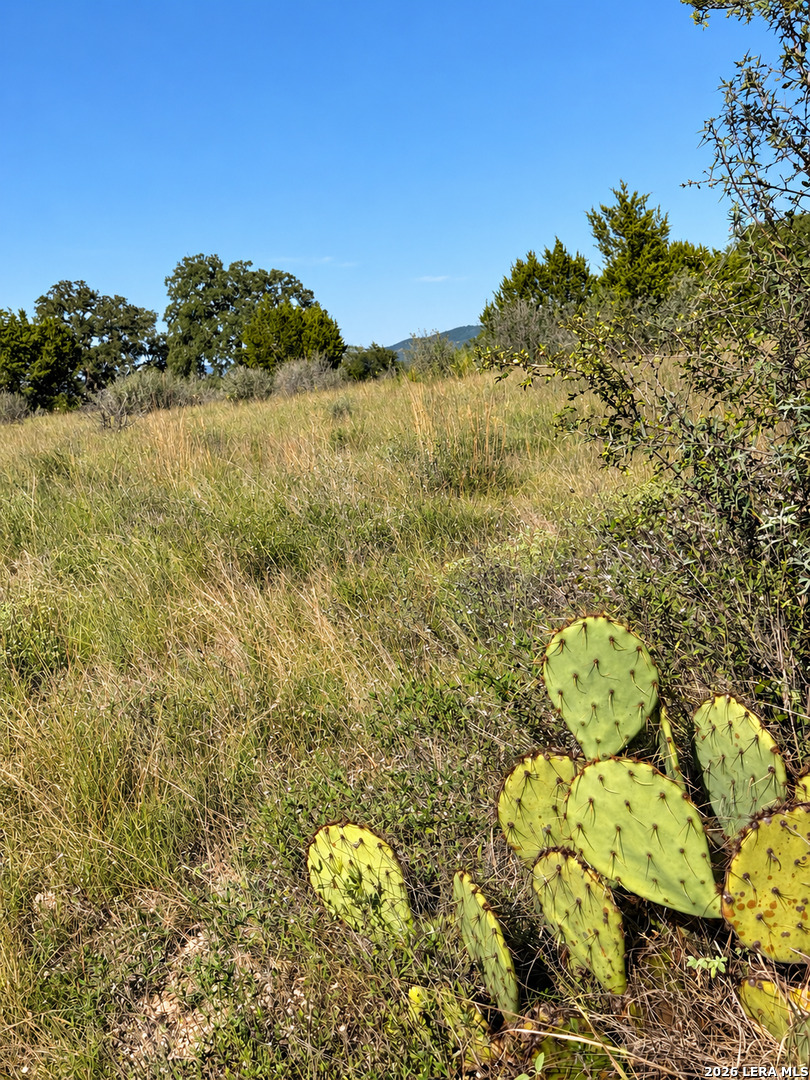 Lot 32 Lariat Trace Bandera TX 78003