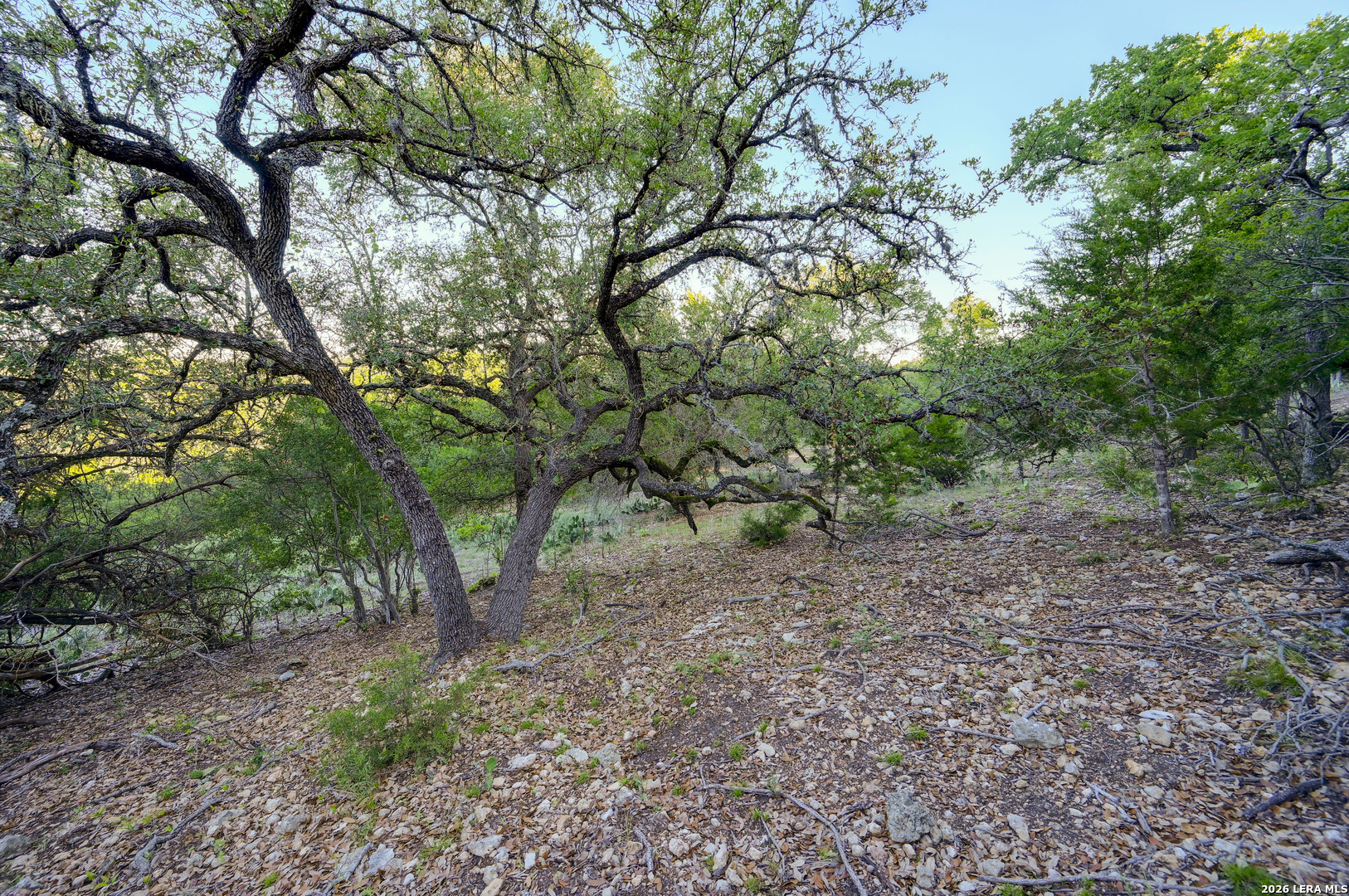 315 Rittimann Road Spring Branch TX 78070