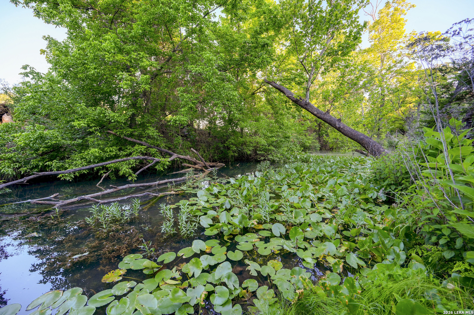 315 Rittimann Road Spring Branch TX 78070