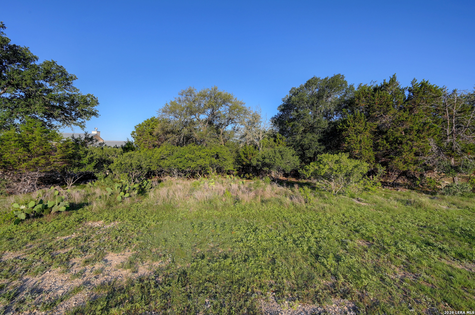 315 Rittimann Road Spring Branch TX 78070