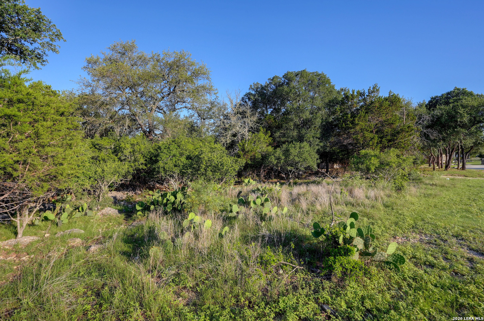 315 Rittimann Road Spring Branch TX 78070