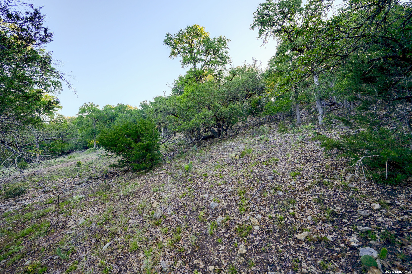 315 Rittimann Road Spring Branch TX 78070