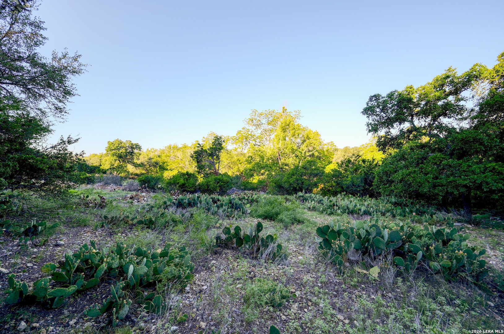 315 Rittimann Road Spring Branch TX 78070