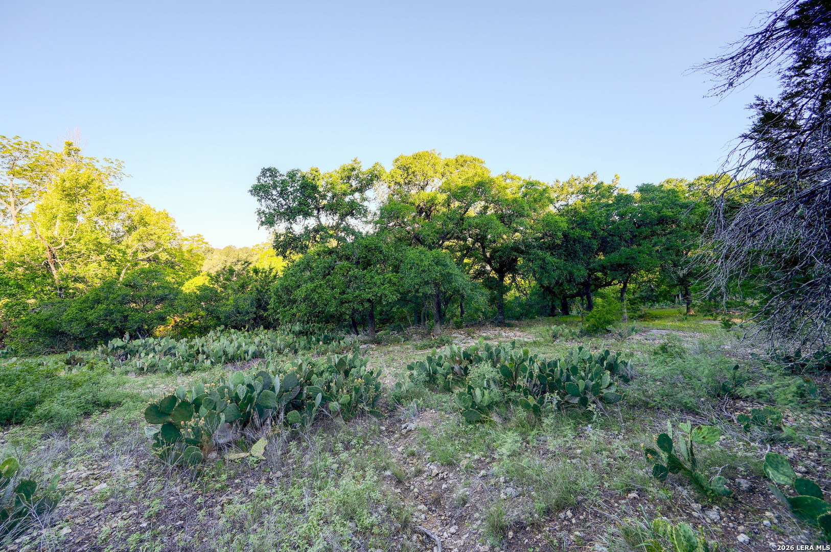315 Rittimann Road Spring Branch TX 78070