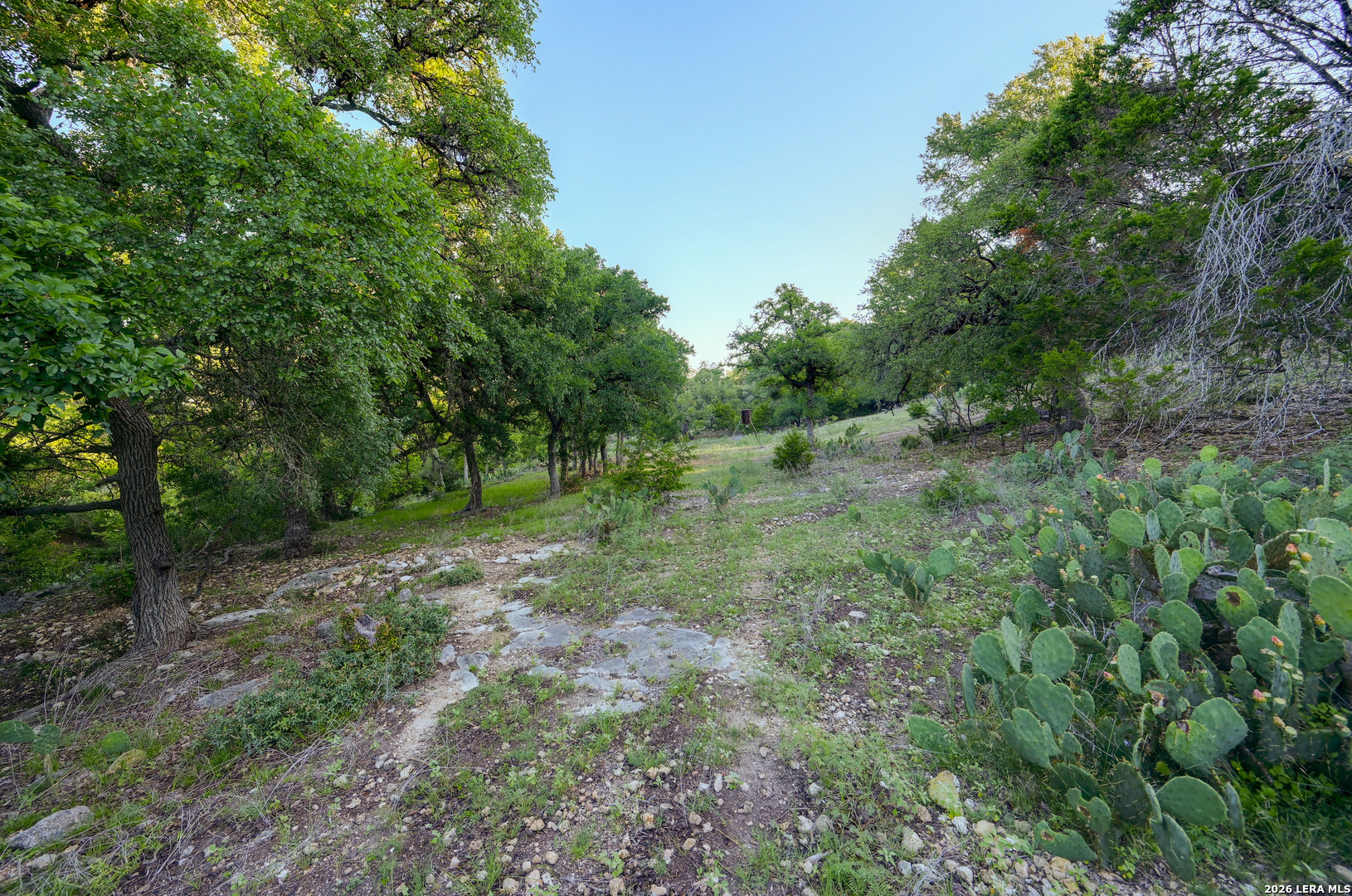 315 Rittimann Road Spring Branch TX 78070