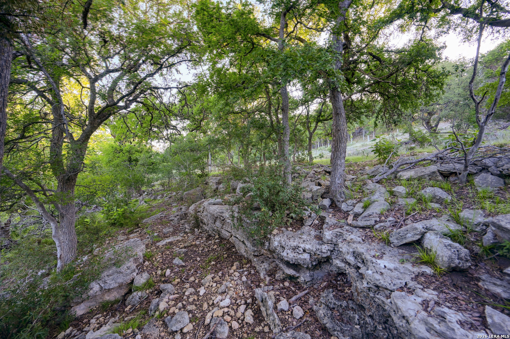 315 Rittimann Road Spring Branch TX 78070