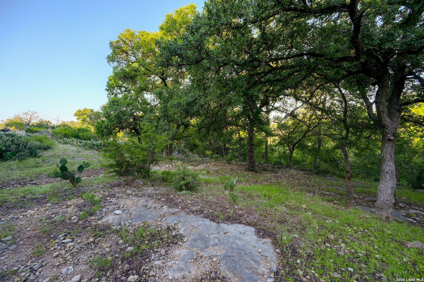 315 Rittimann Road Spring Branch TX 78070