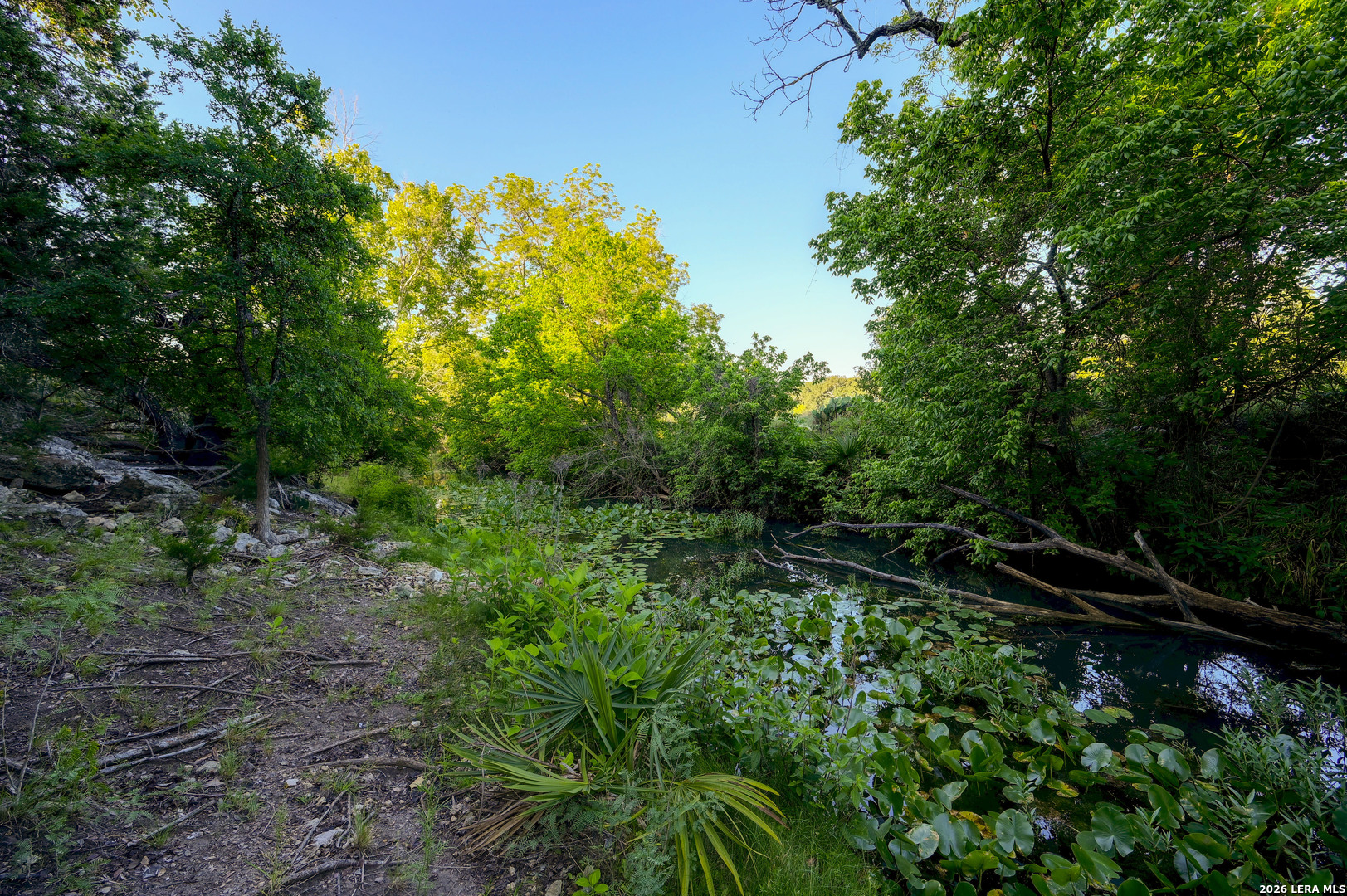 315 Rittimann Road Spring Branch TX 78070