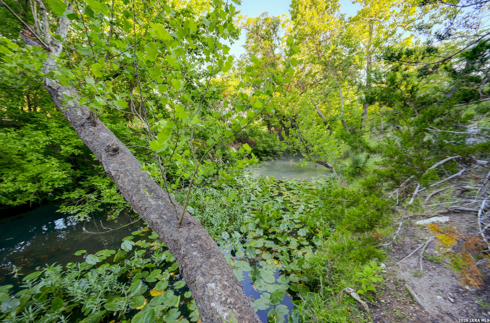 315 Rittimann Road Spring Branch TX 78070
