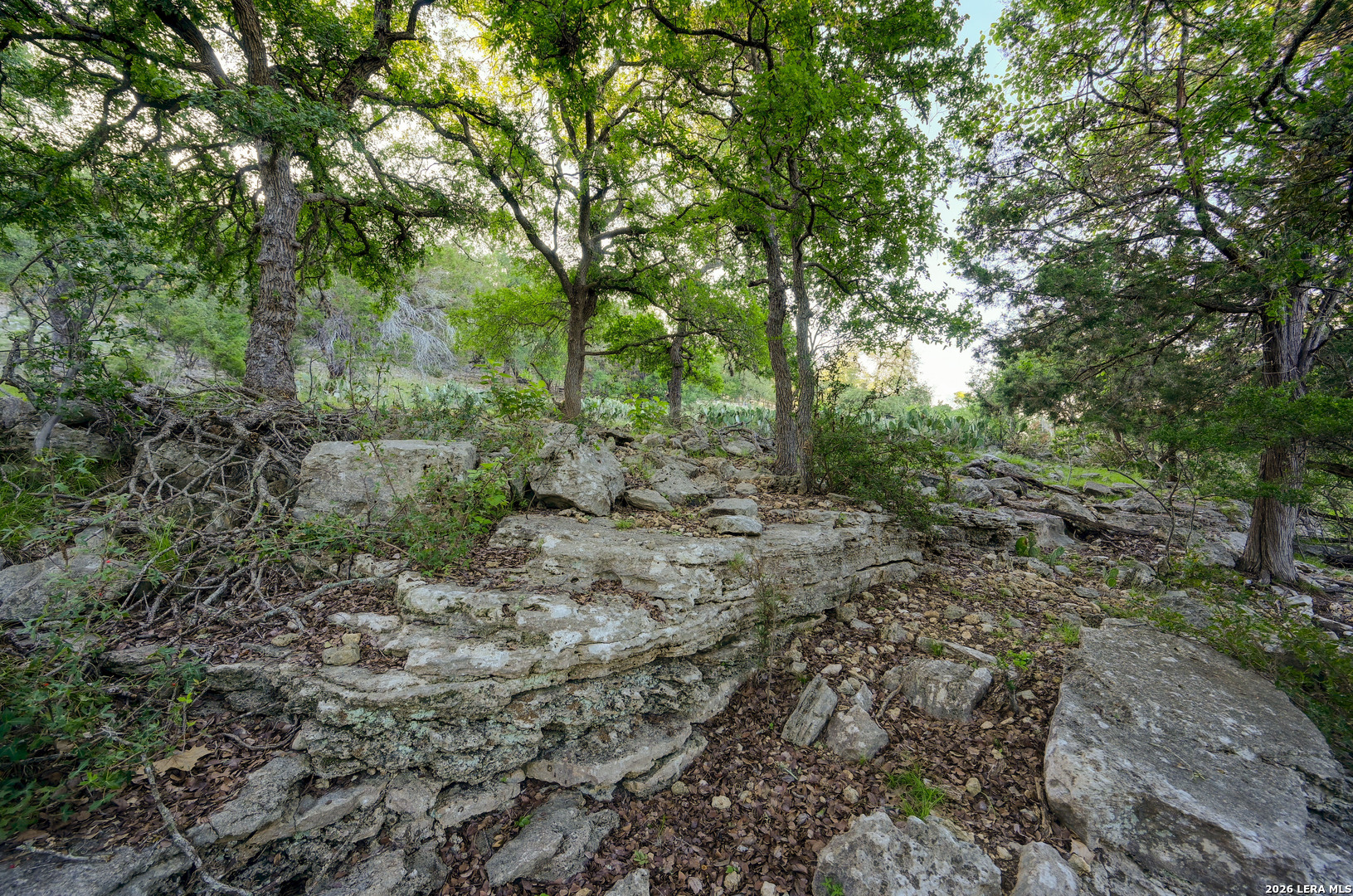 315 Rittimann Road Spring Branch TX 78070