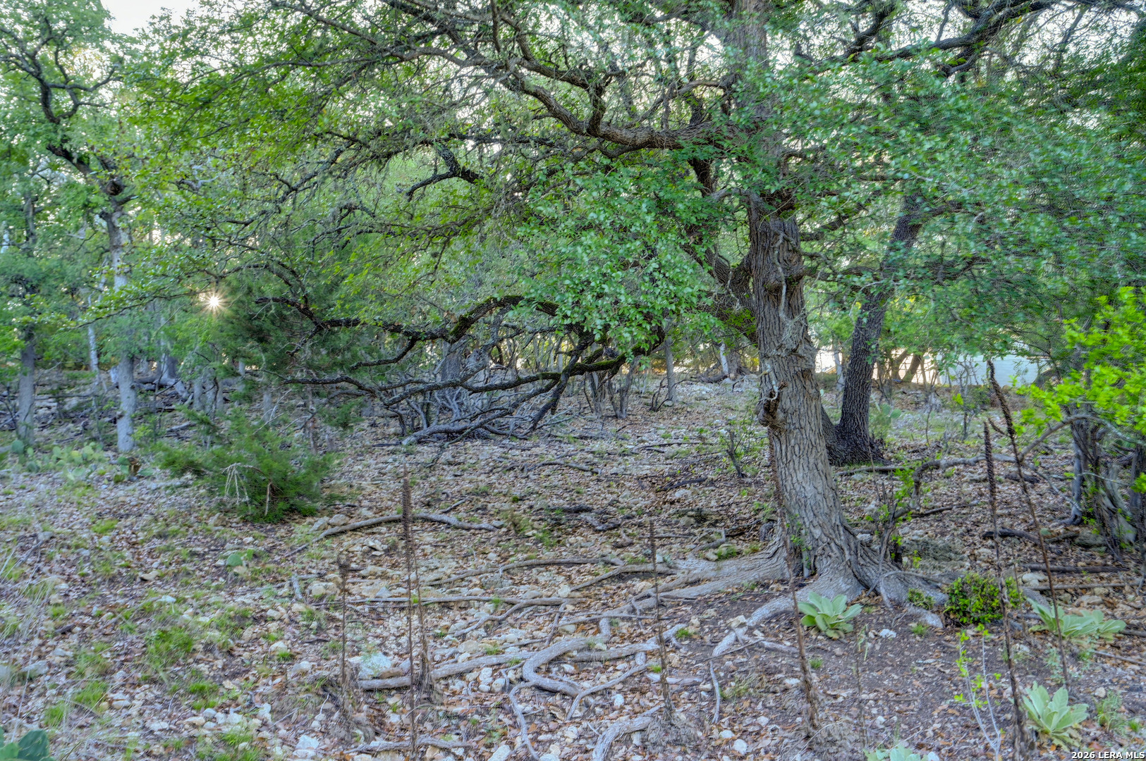 315 Rittimann Road Spring Branch TX 78070