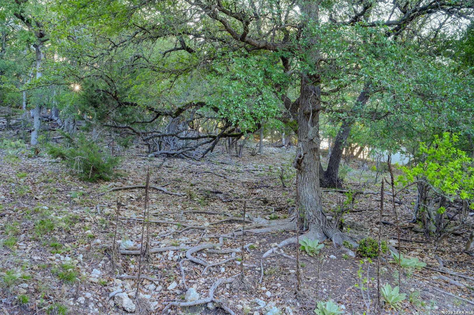 315 Rittimann Road Spring Branch TX 78070