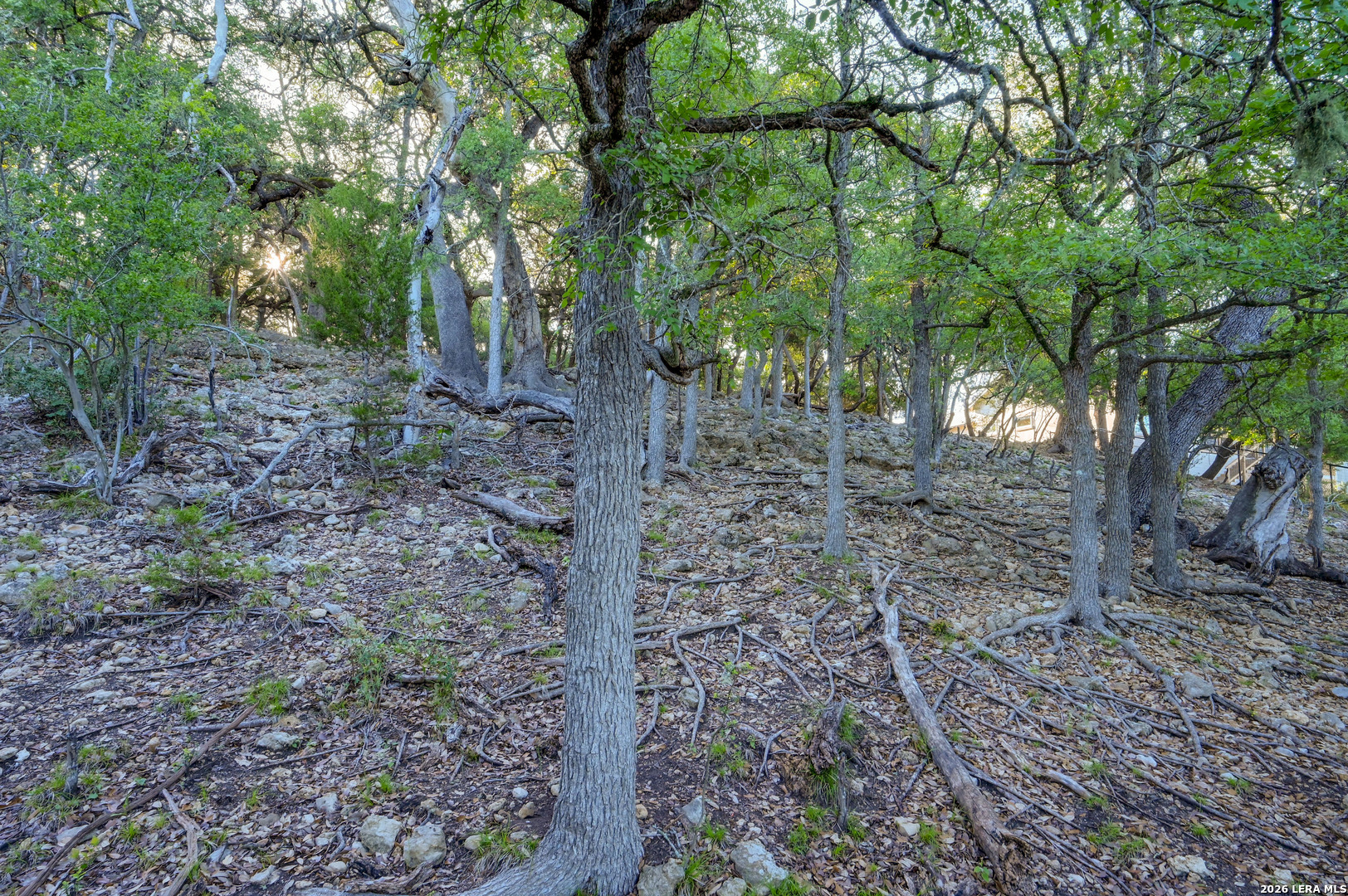 315 Rittimann Road Spring Branch TX 78070