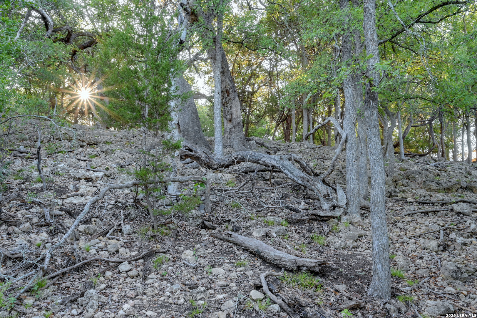 315 Rittimann Road Spring Branch TX 78070