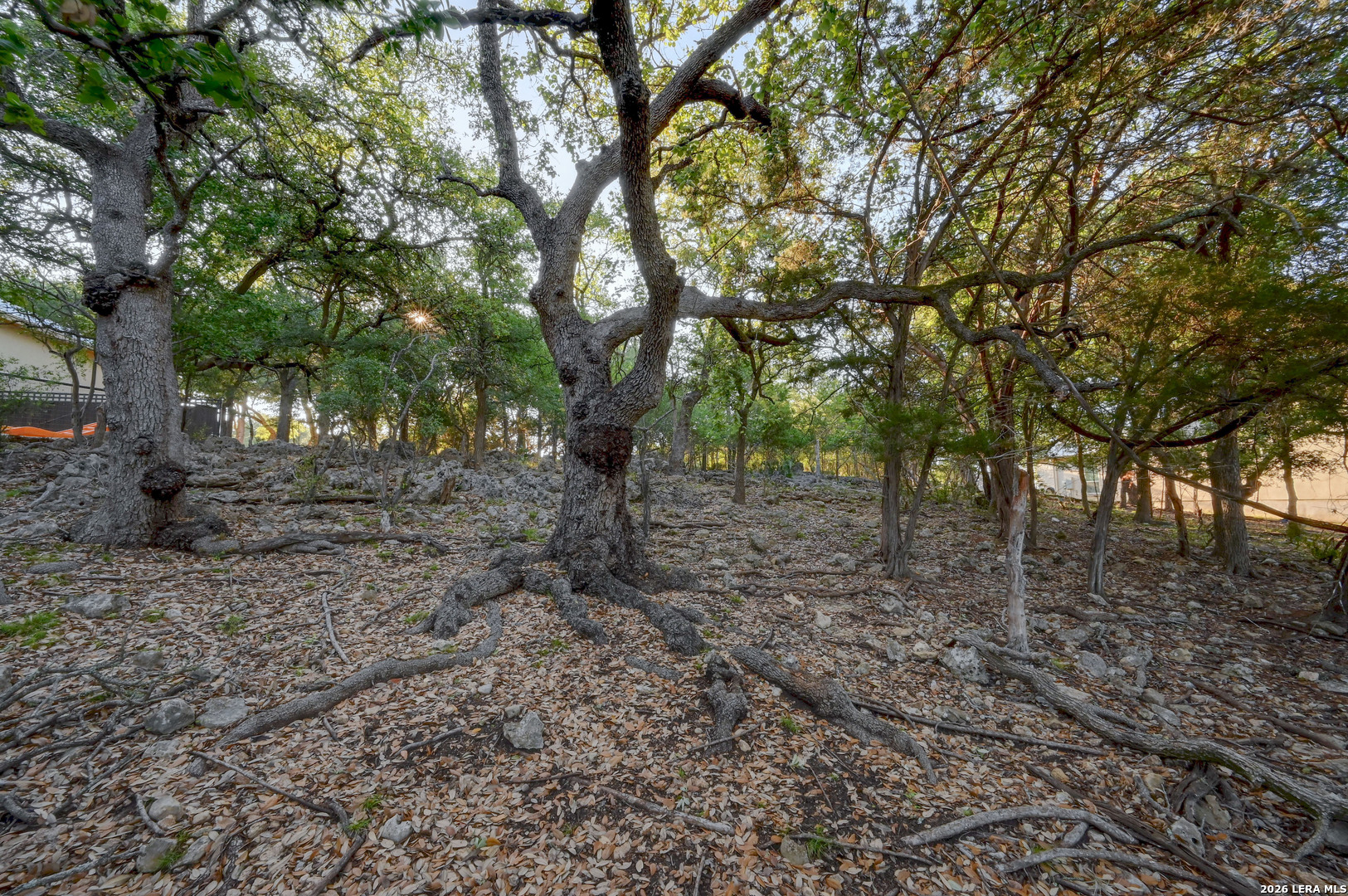 315 Rittimann Road Spring Branch TX 78070