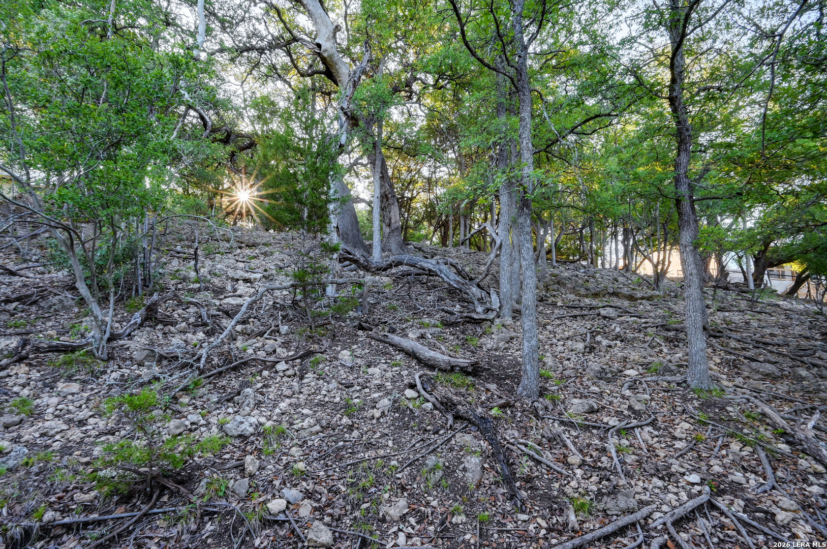 315 Rittimann Road Spring Branch TX 78070