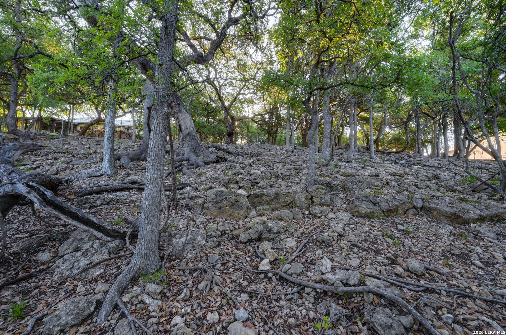 315 Rittimann Road Spring Branch TX 78070