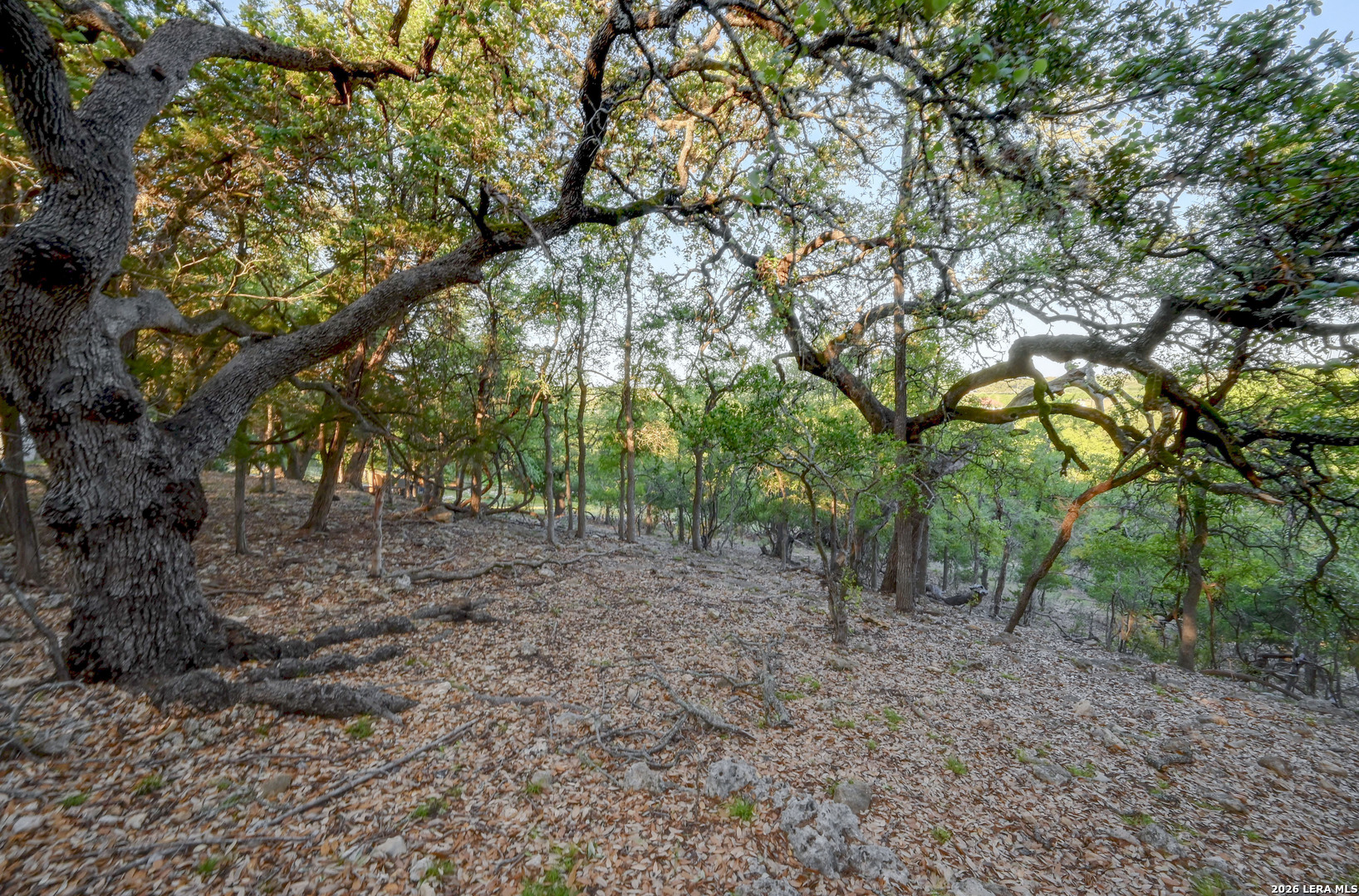 315 Rittimann Road Spring Branch TX 78070