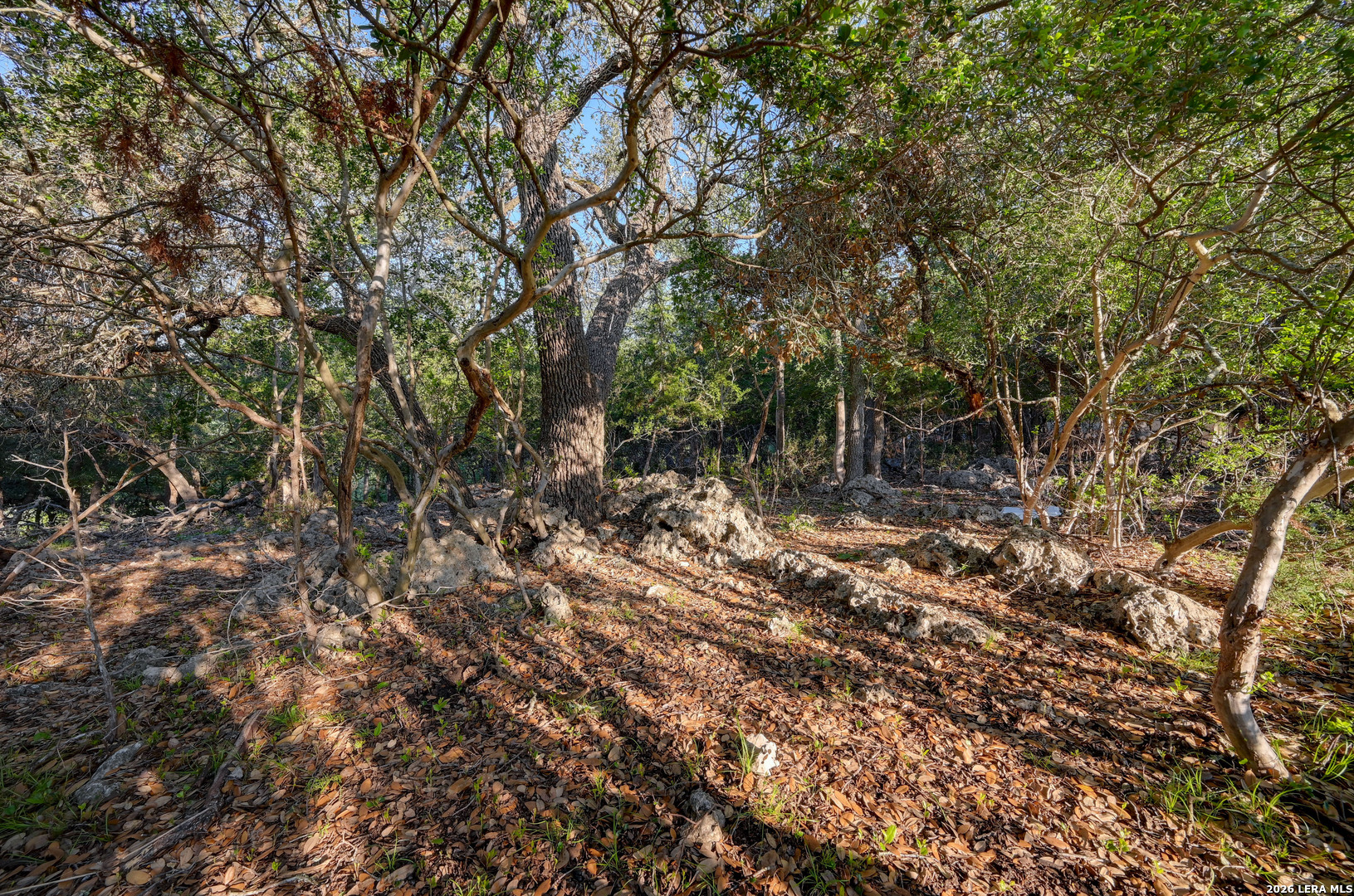 315 Rittimann Road Spring Branch TX 78070