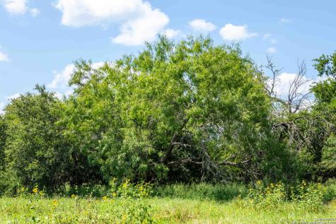 000 Cr 405 Beeville TX 78102
