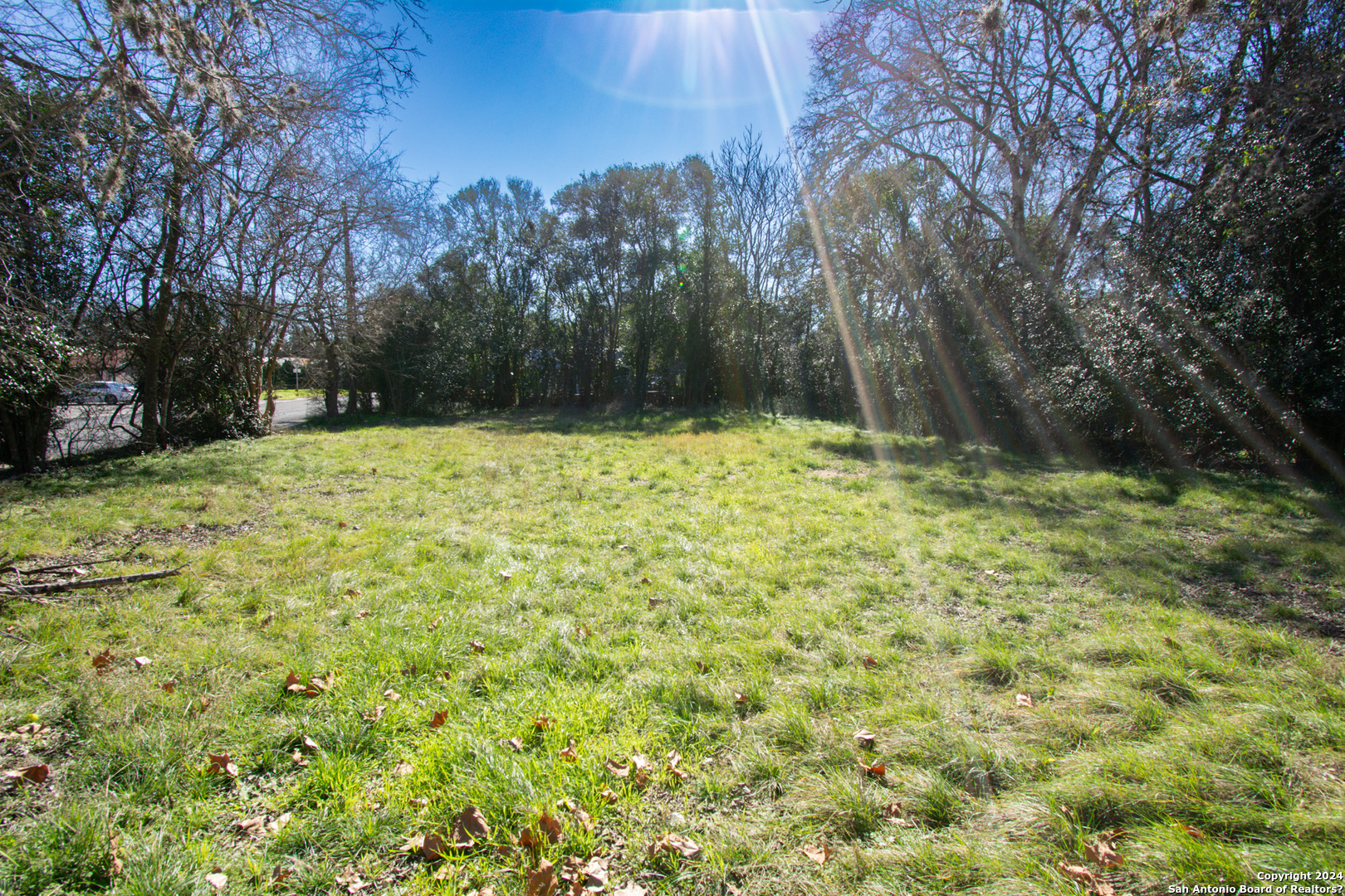 314 S Plant Avenue Boerne TX 78006