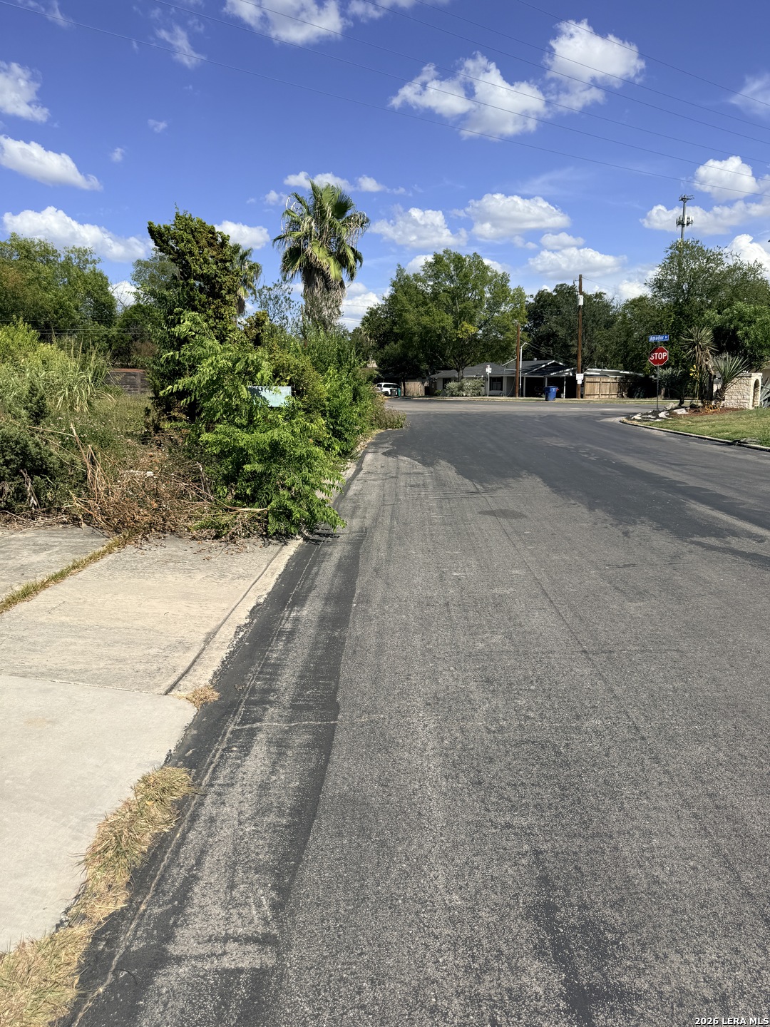 155 Ashland Drive San Antonio TX 78218