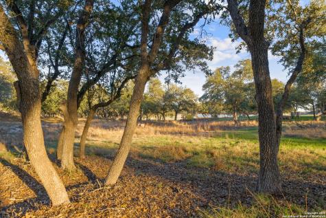 539 Clay Ridge Canyon Lake TX 78133