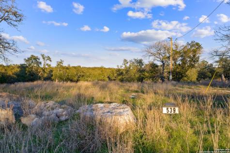 539 Clay Ridge Canyon Lake TX 78133