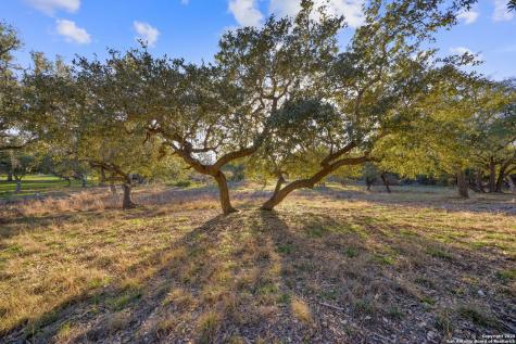 539 Clay Ridge Canyon Lake TX 78133