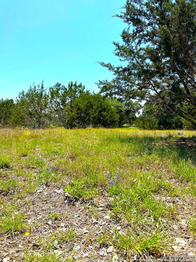 25 Vaquero Pipe Creek TX 78063