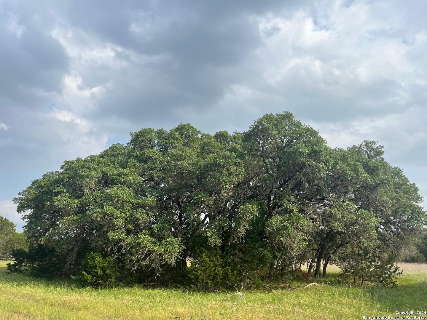25 Vaquero Pipe Creek TX 78063